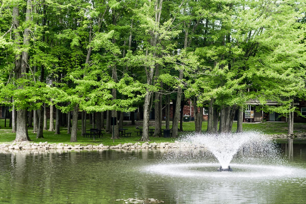 Photos and Video of Hampton Court in Indianapolis IN
