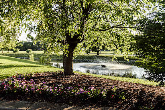Tranquil Pond at Fairigton Lafayette