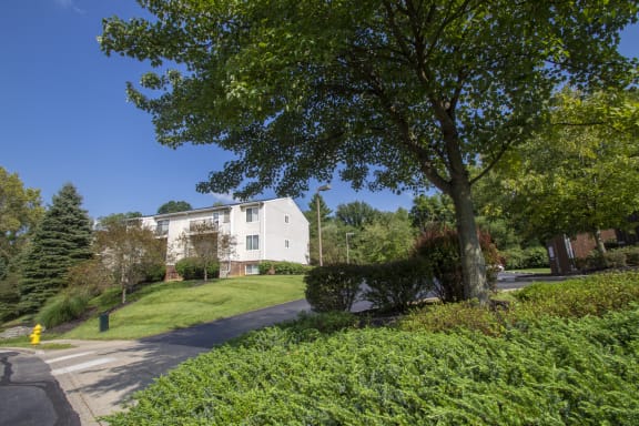 This is a photo of woods surrounding an apartment building at Deer Hill Apartments in Cincinnati, OH.