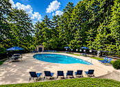 Thumbnail 4 of 21 - A pool surrounded by trees and chairs.