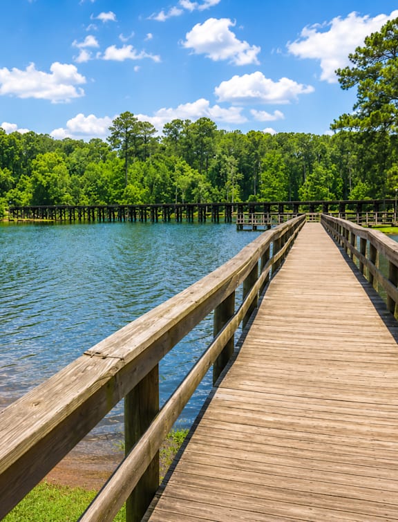 A wooden walkway leads to a serene lake surrounded by lush green trees.