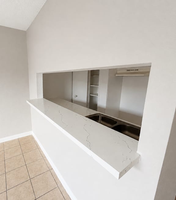 A kitchen area with a countertop and a sink.