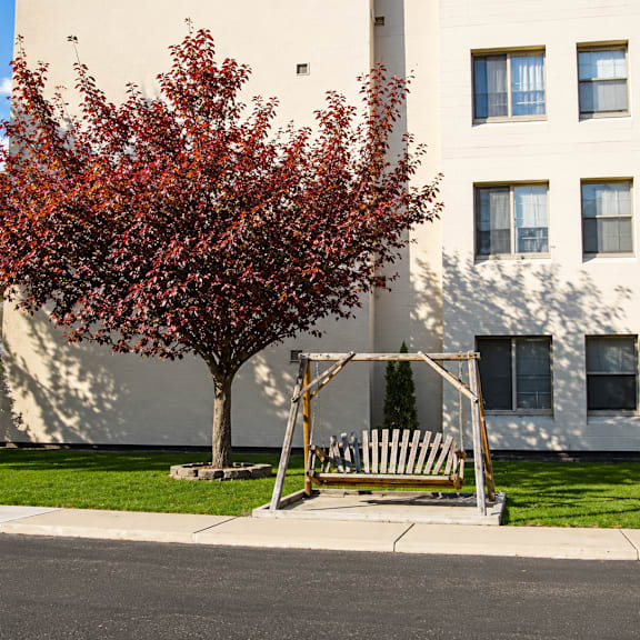 A tree with red leaves is in front of a white building.