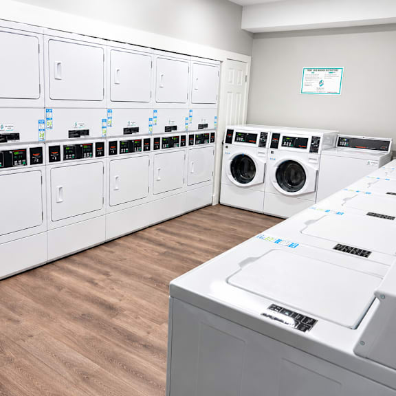 A row of washing machines are lined up in a laundromat.