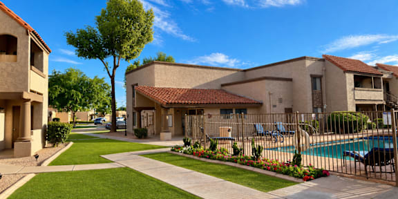 A sunny day at a residential area with a pool and a tree.