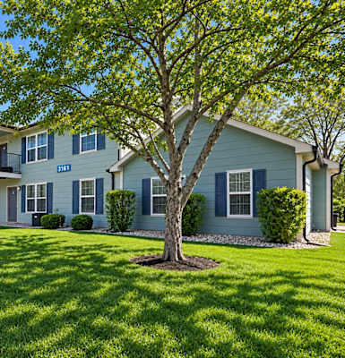 A tree in front of a blue house.