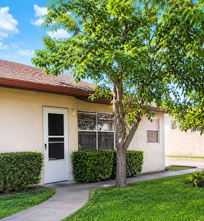 A house with a white door and a tree in front.
