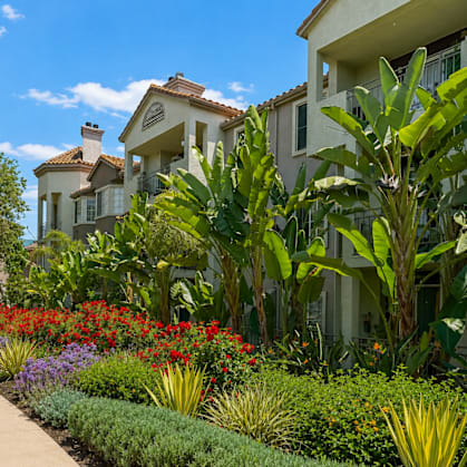 A garden with a variety of plants and flowers in front of a building.