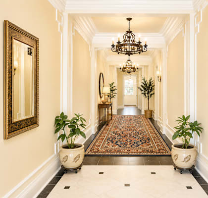 A long hallway with a rug and potted plants on either side.