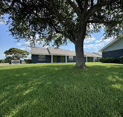 A large tree stands in a grassy field in front of a house.