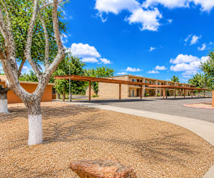 A tree stands in front of a building with a red roof.