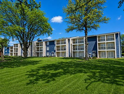 A large grassy area in front of a building with trees on either side.