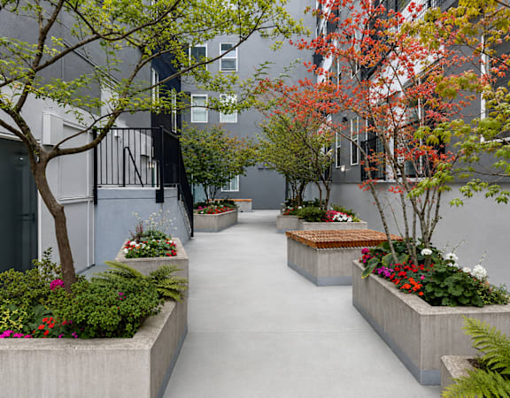 A concrete walkway with planters on either side.