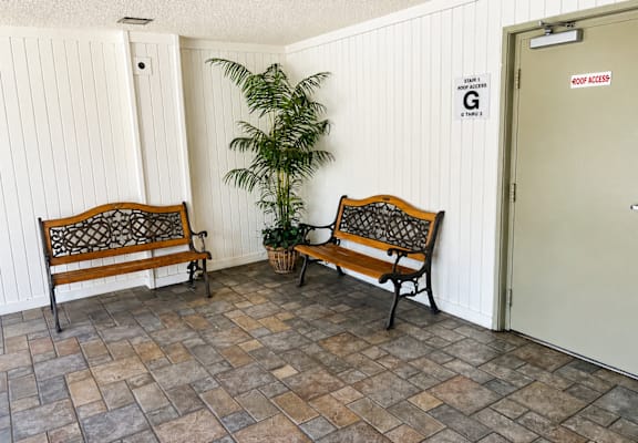 Two wooden benches sit in front of a wall with a door and a plant.
