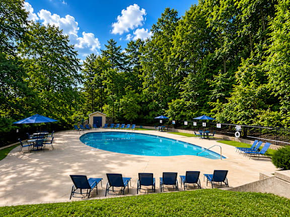 A pool surrounded by trees and chairs.