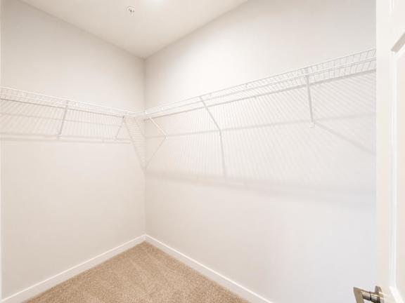 A room with white walls and a carpeted floor.