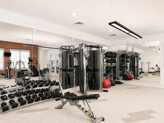A gym with a variety of equipment including weights and a bench press.