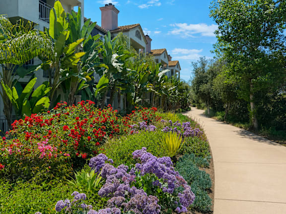 A garden with purple flowers in the foreground and a building in the background.