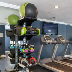 a gym with treadmills and other exercise equipment