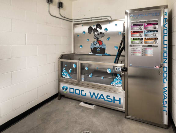 Pet wash station with tub and shower