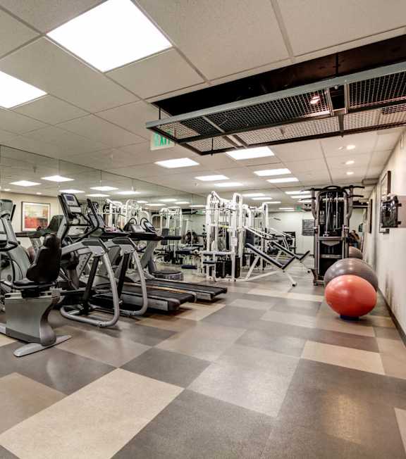 A gym with a variety of equipment including treadmills, exercise bikes, and weight machines at 1022 Tiverton, Los Angeles, CA