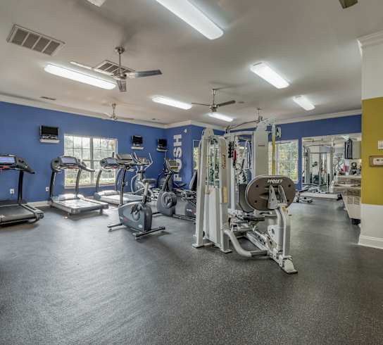 A spacious gym with a variety of exercise equipment.