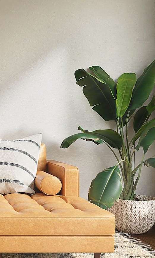 Model Living Room with Plants and Accent Pieces