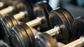 A set of dumbbells are lined up on a rack.