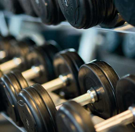 A set of dumbbells are lined up on a rack.