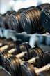 A set of dumbbells are lined up on a rack.