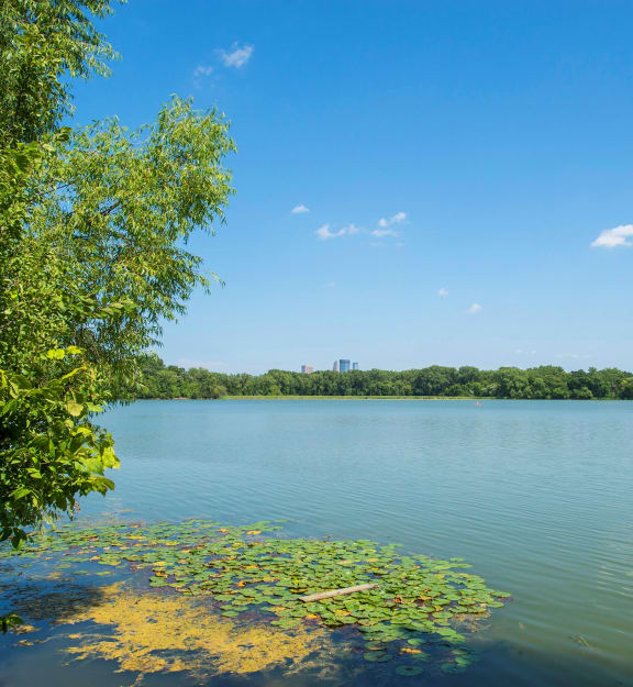 lake view at Axon Green, Minneapolis, MN, 55416