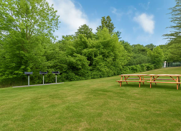 A picnic table sits in a grassy field with trees in the background.