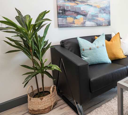 A living room with a couch, a potted plant, and a painting on the wall.