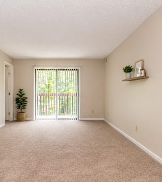 A room with a carpeted floor and a sliding glass door leading to a backyard.