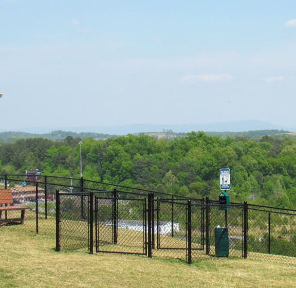On-Premise Dog Park