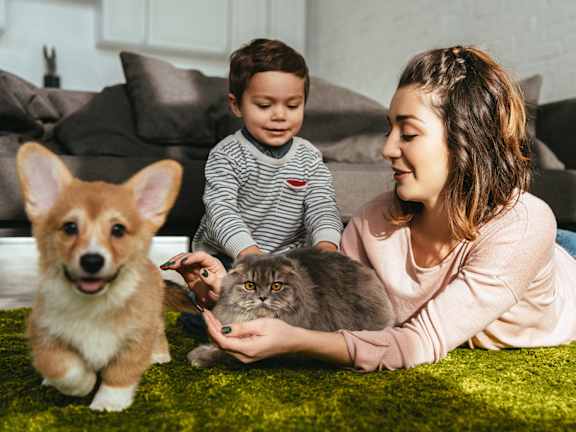 A woman and a child are sitting on a green carpet with a dog and a cat.