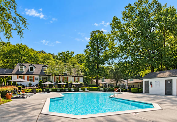 A swimming pool surrounded by trees and houses.