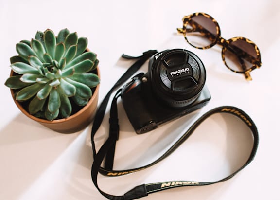 a pair of sunglasses and a camera sitting next to a plant