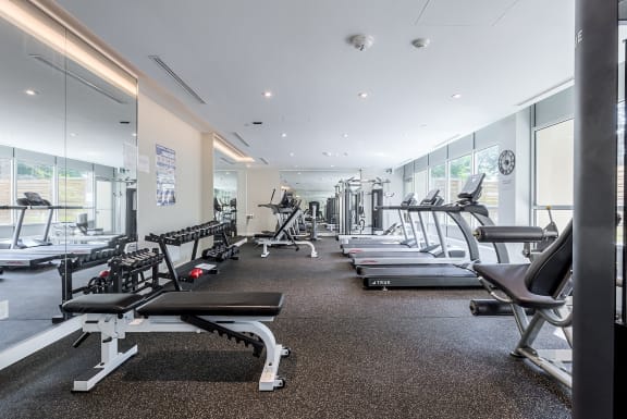 a gym with treadmills and other exercise equipment