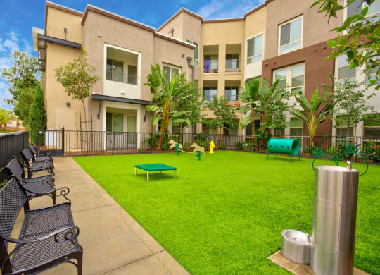 Dog park with dog wash at Accent Apartments, California, 90066