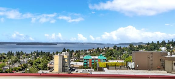 Community- Panoramic View of City From Rooftop at Mural, Seattle, Washington