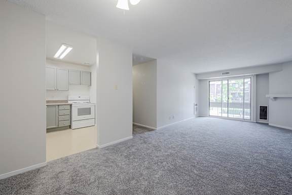 Living Room Looking into Kitchen
