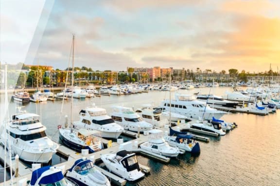 a marina filled with boats at sunset