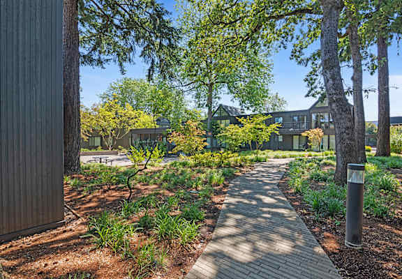 A walkway in a park with trees and a building in the background.