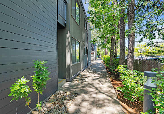 A narrow walkway between two buildings with greenery on the sides.