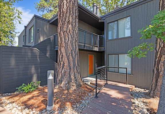 A modern house with a grey exterior and a large tree in front.
