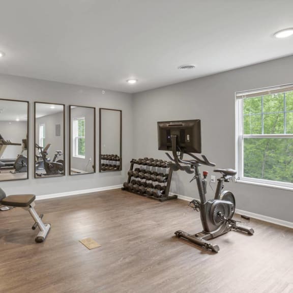 the gym in the owners home has plenty of exercise equipment and a television