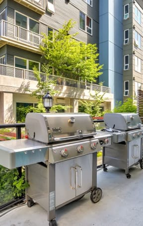 open concept kitchen at Link + Mural, Washington, 98126