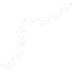 A white shape resembling footprints on a black background.