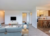 Thumbnail 30 of 50 - Living Area